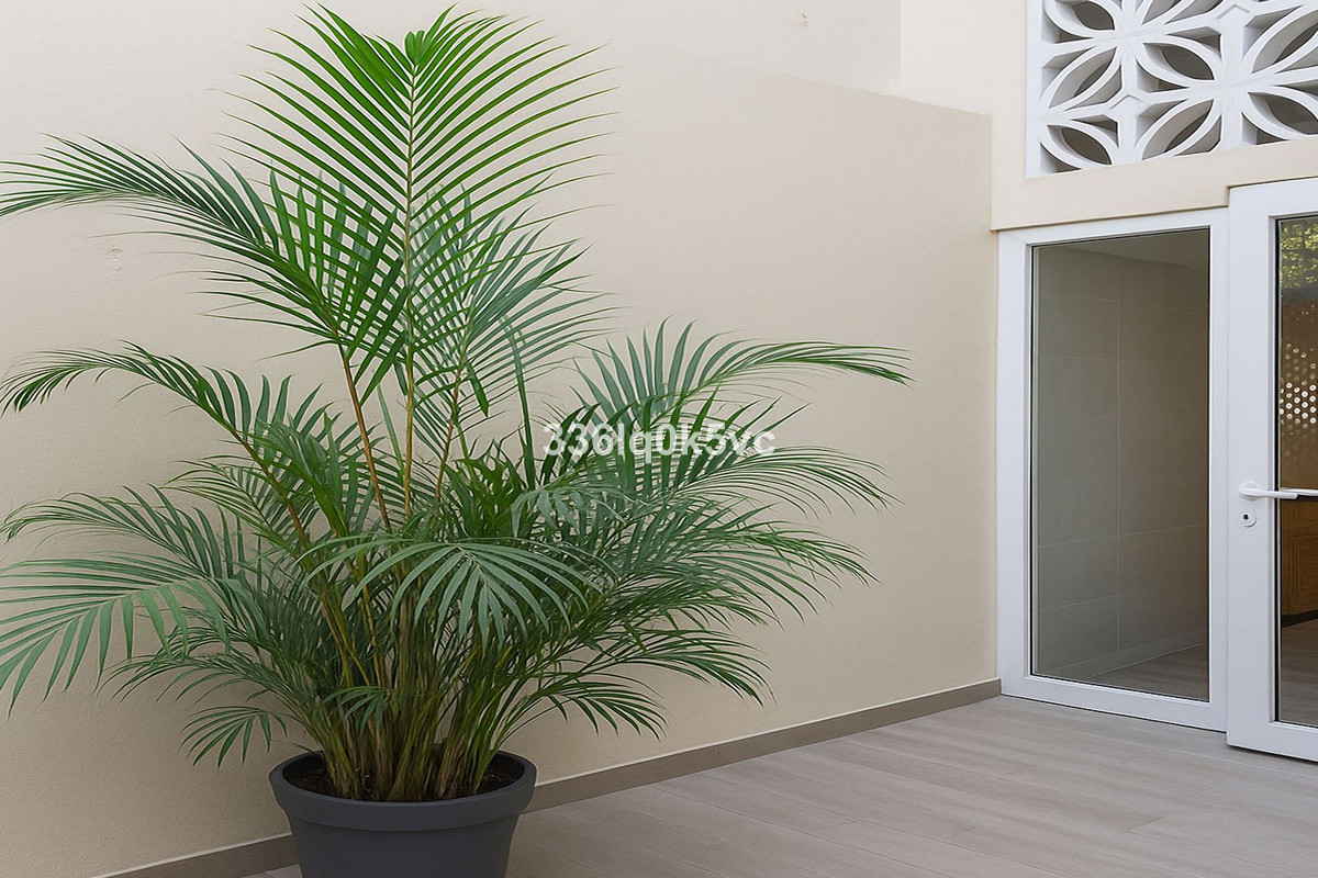 Property main view 28