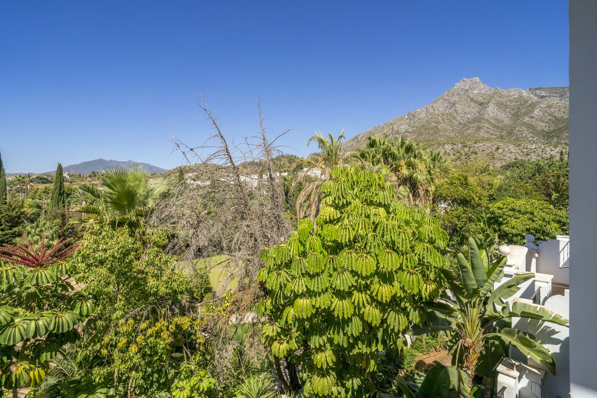 Property main view 52