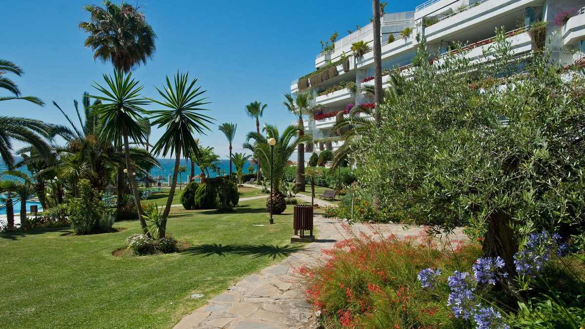 Property main view 34