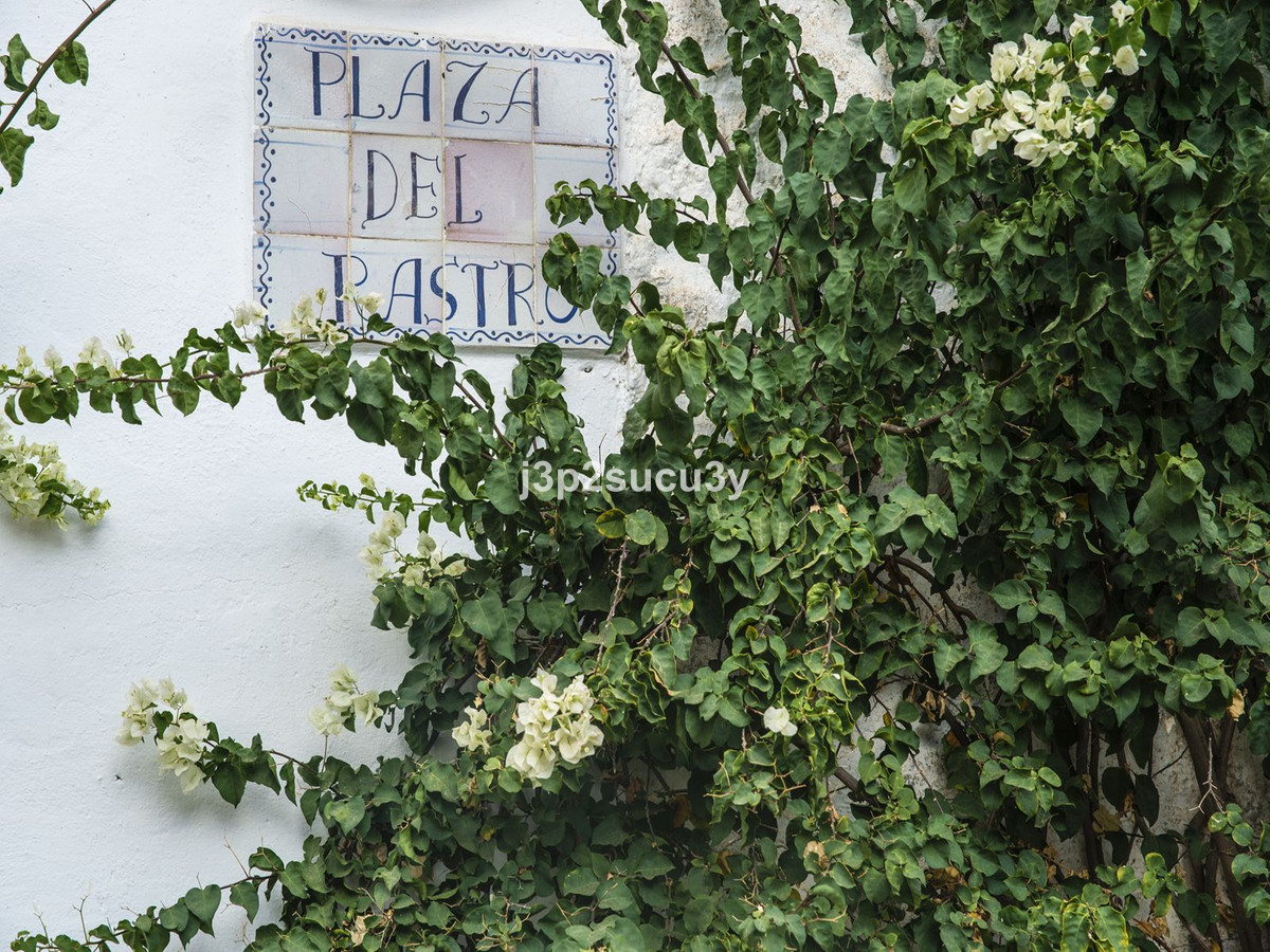 Property main view 32