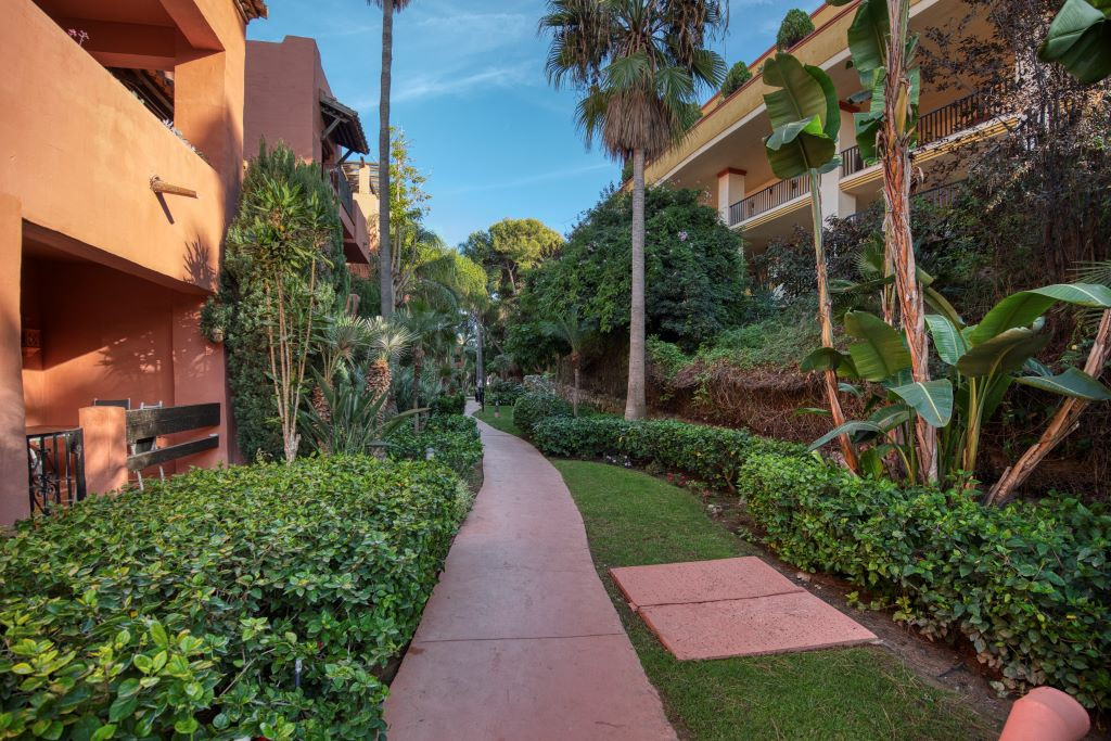 Property main view 26