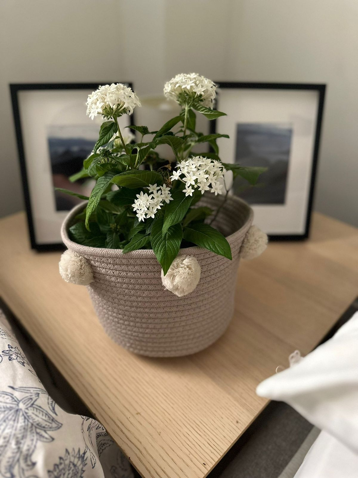 Property main view 20