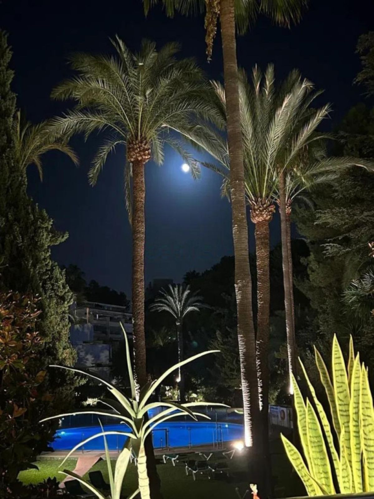 Property main view 16