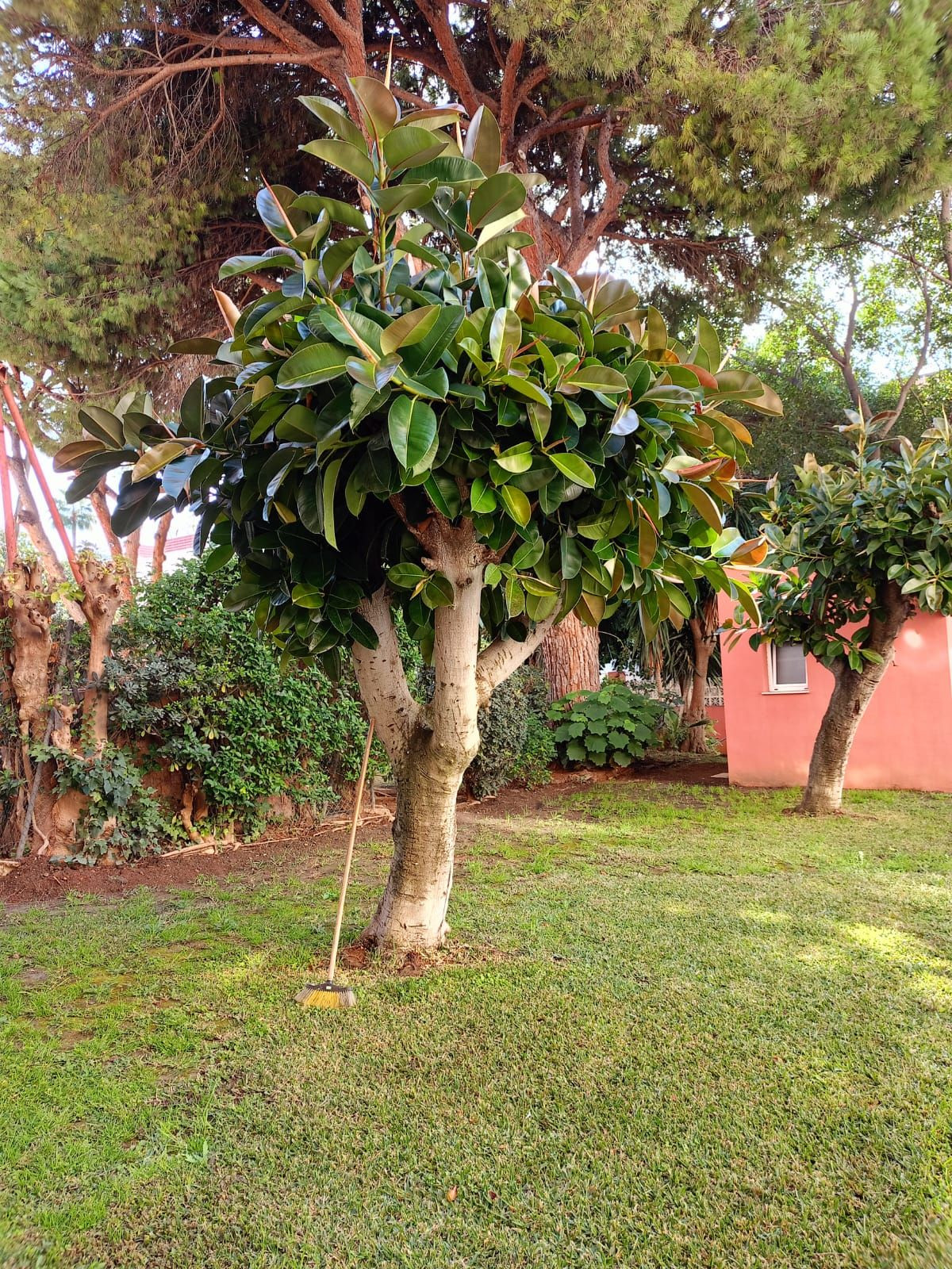 Property main view 20