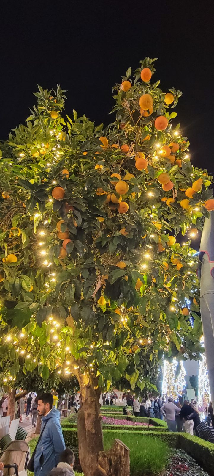 Appartement te koop in Marbella | 3 slaapkamers H5321854