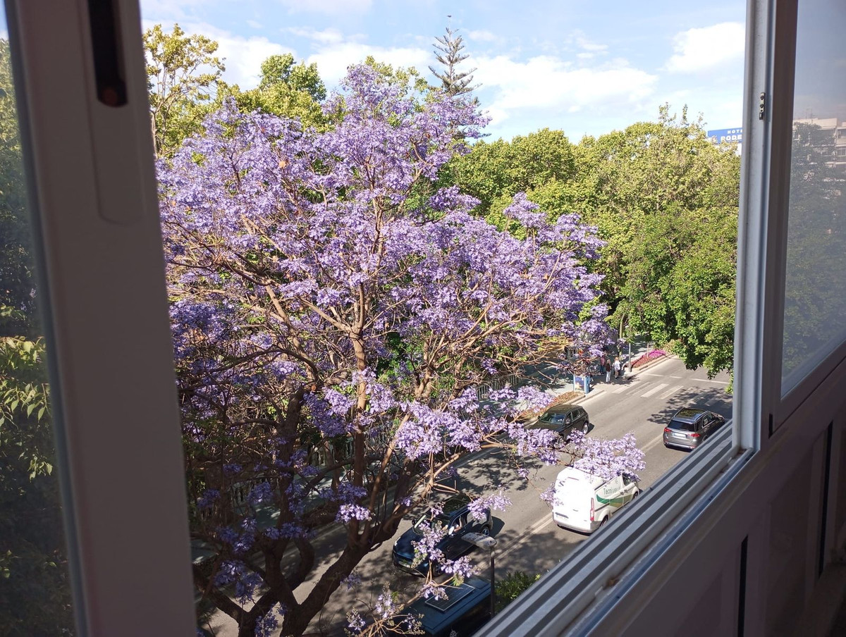 Appartement te koop in Marbella | 3 slaapkamers H5336488