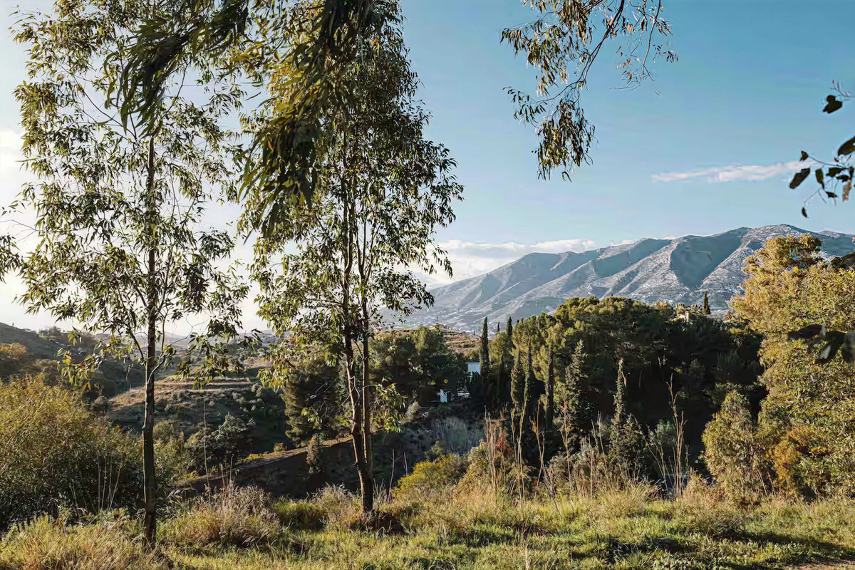 Property main view 15