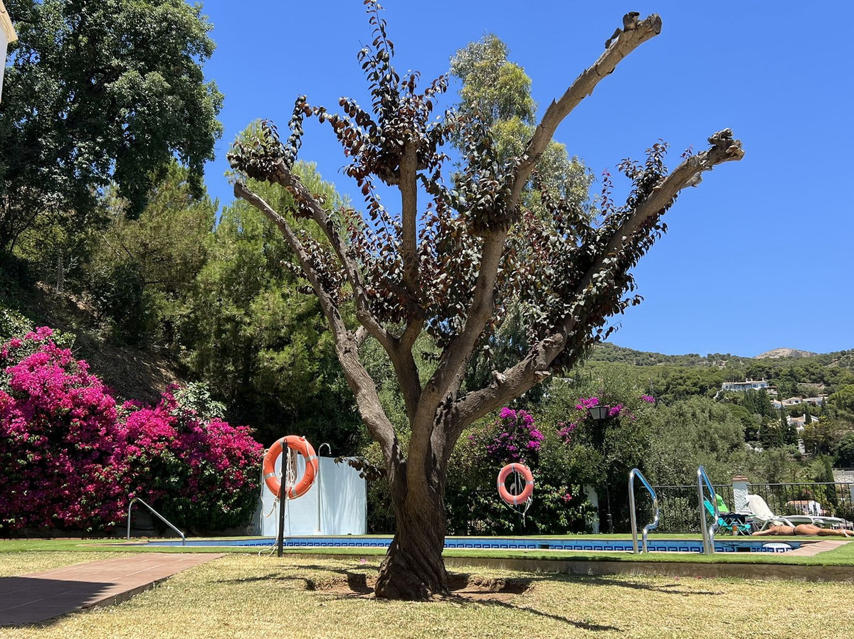 Property main view 29