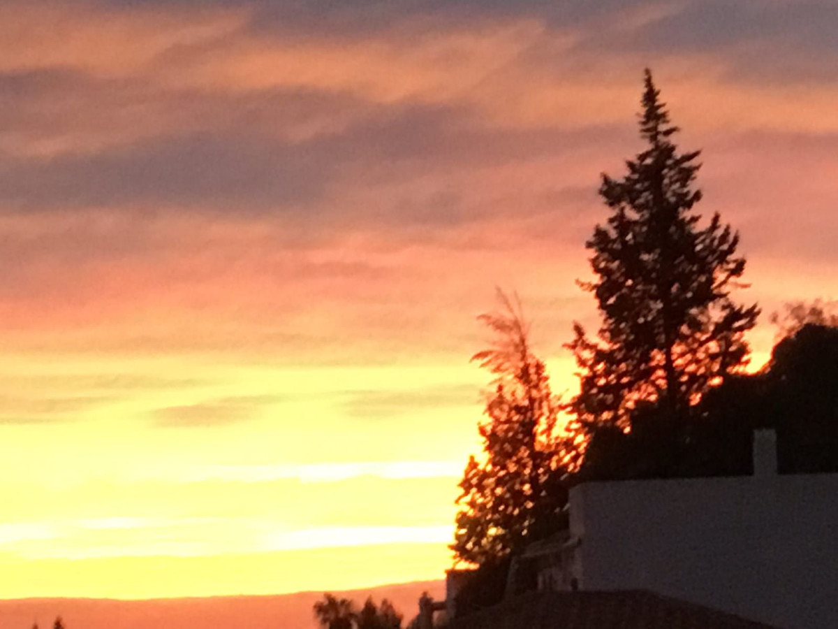 Property main view 31