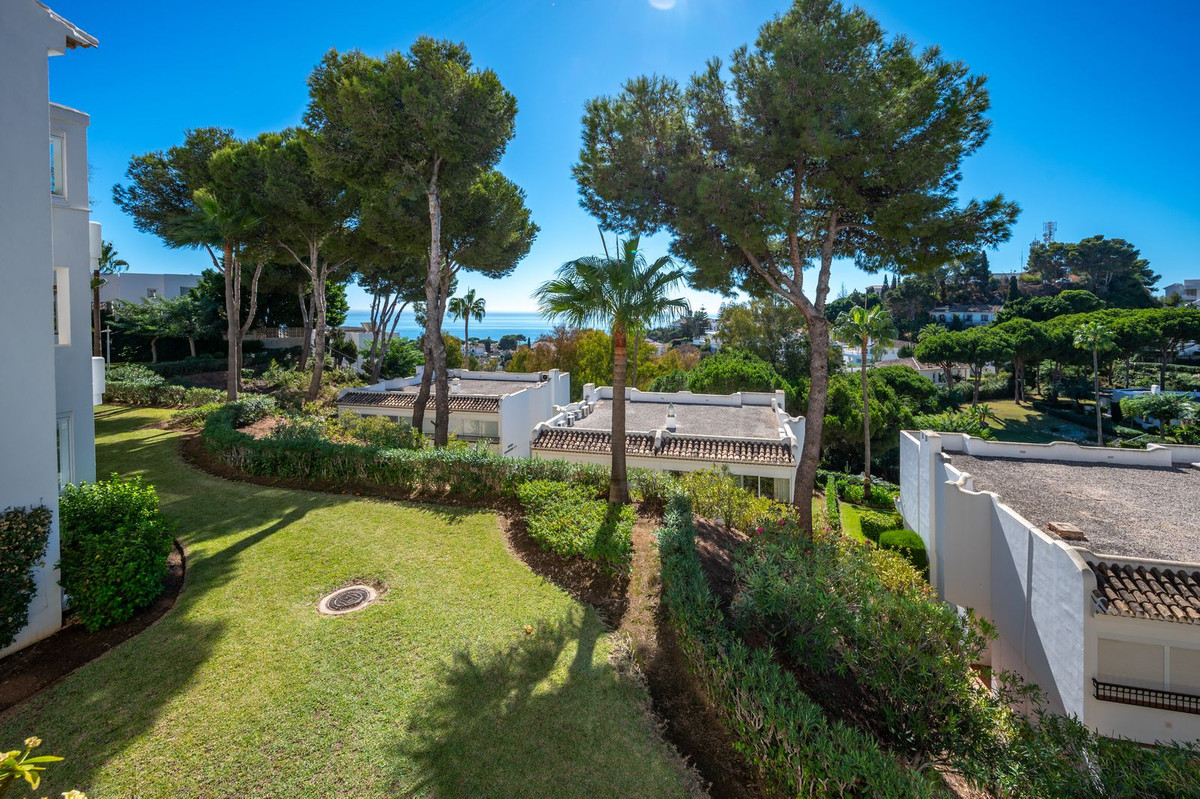 Property main view 20