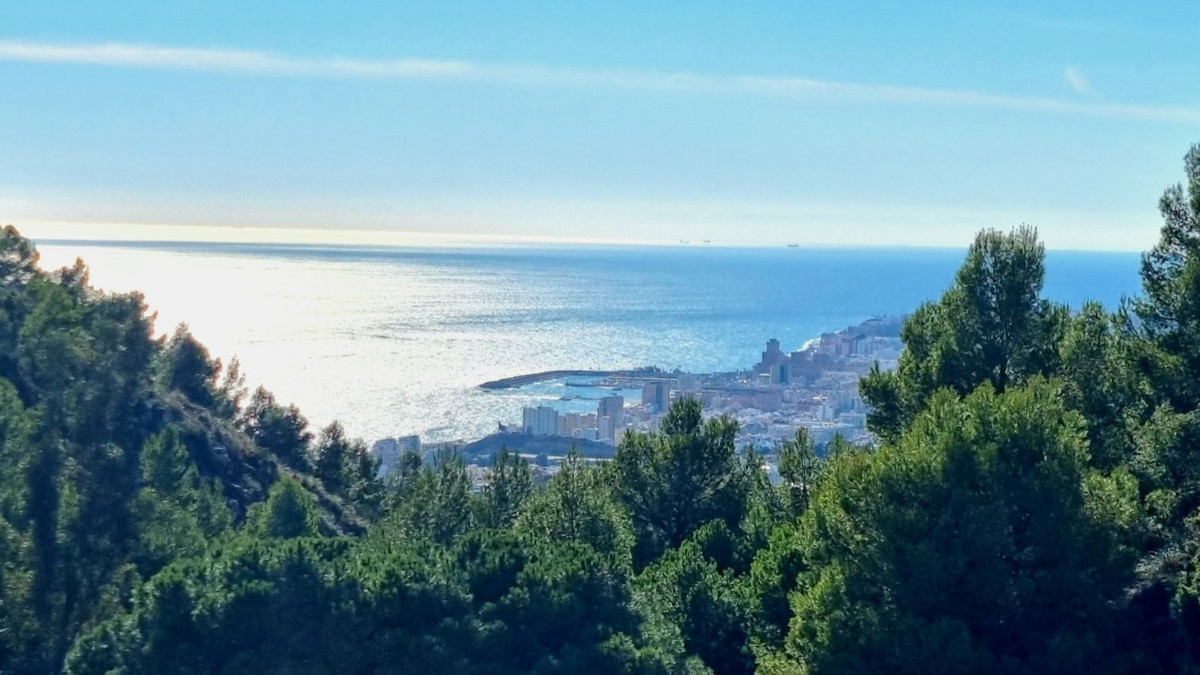 Property main view 32