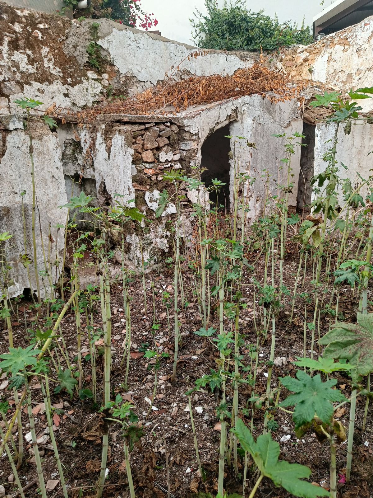 Appartement te koop in Mijas | 5 slaapkamers H5289514