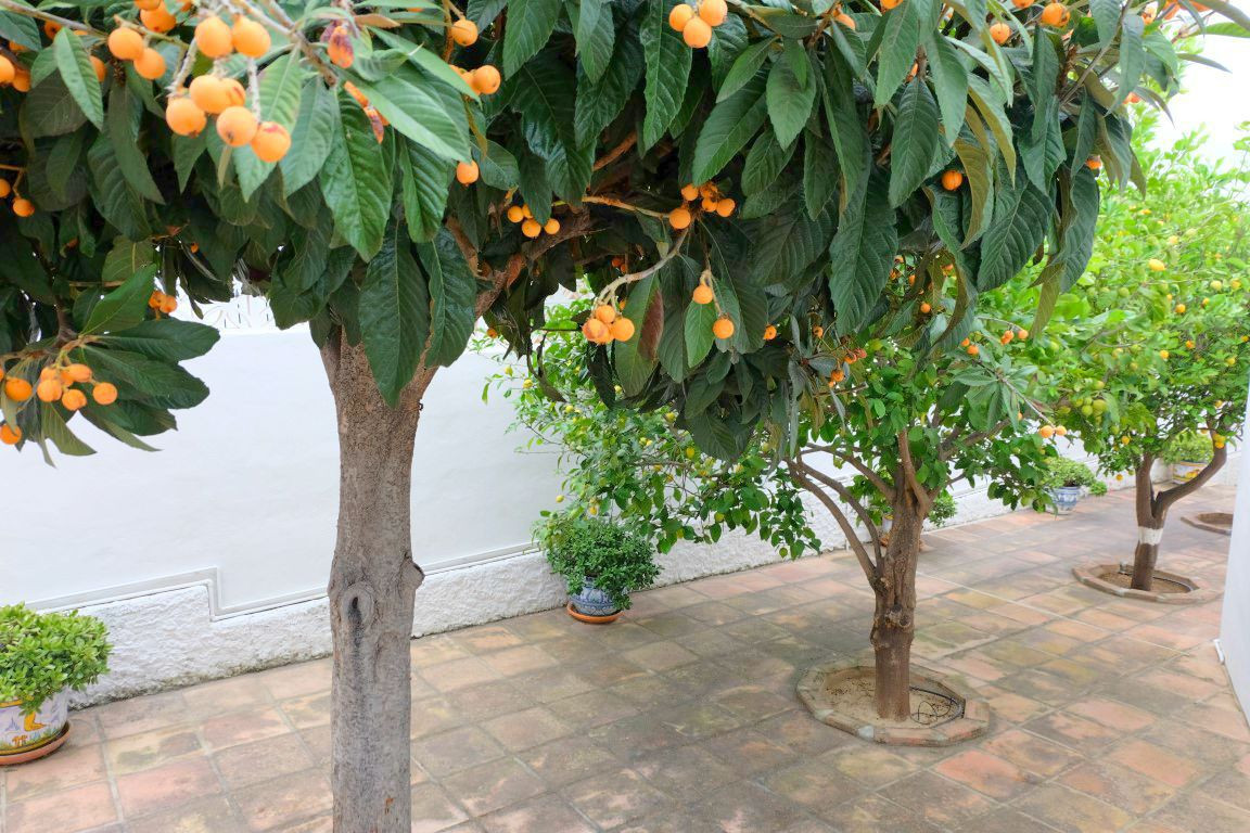 Vrijstaande Villa te koop in Mijas | 5 slaapkamers H5305534