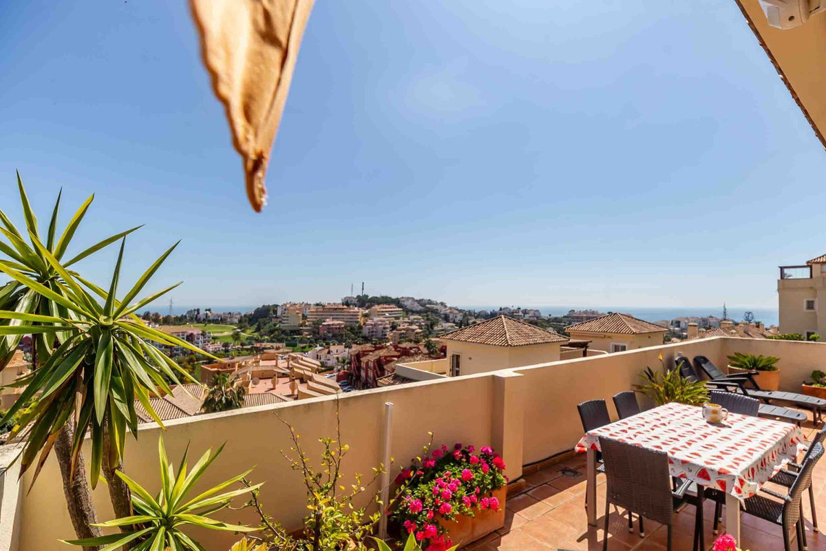 Property main view 52