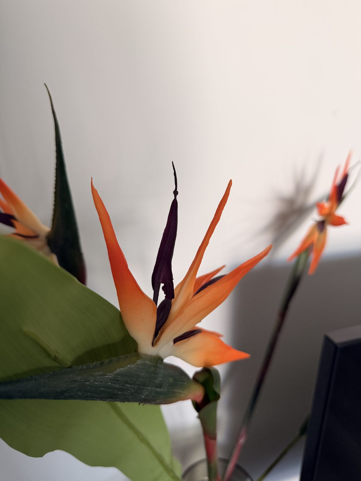 Appartement te koop in Mijas | 3 slaapkamers H5346106