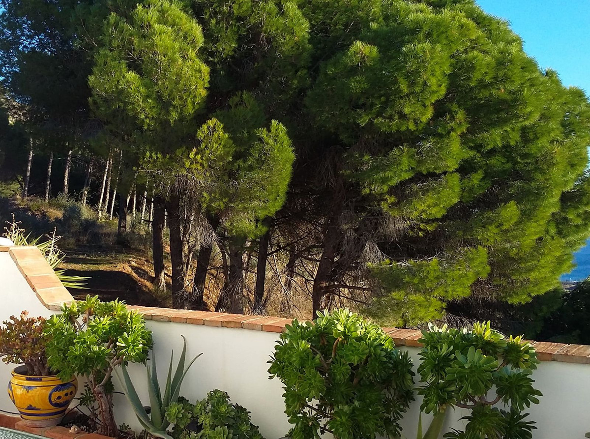 Penthouse te koop in Mijas | 3 slaapkamers H5478082