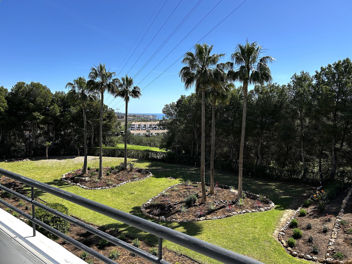 Property main view 2