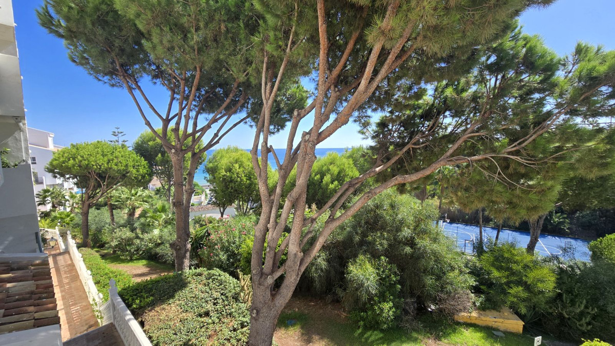 Property main view 12