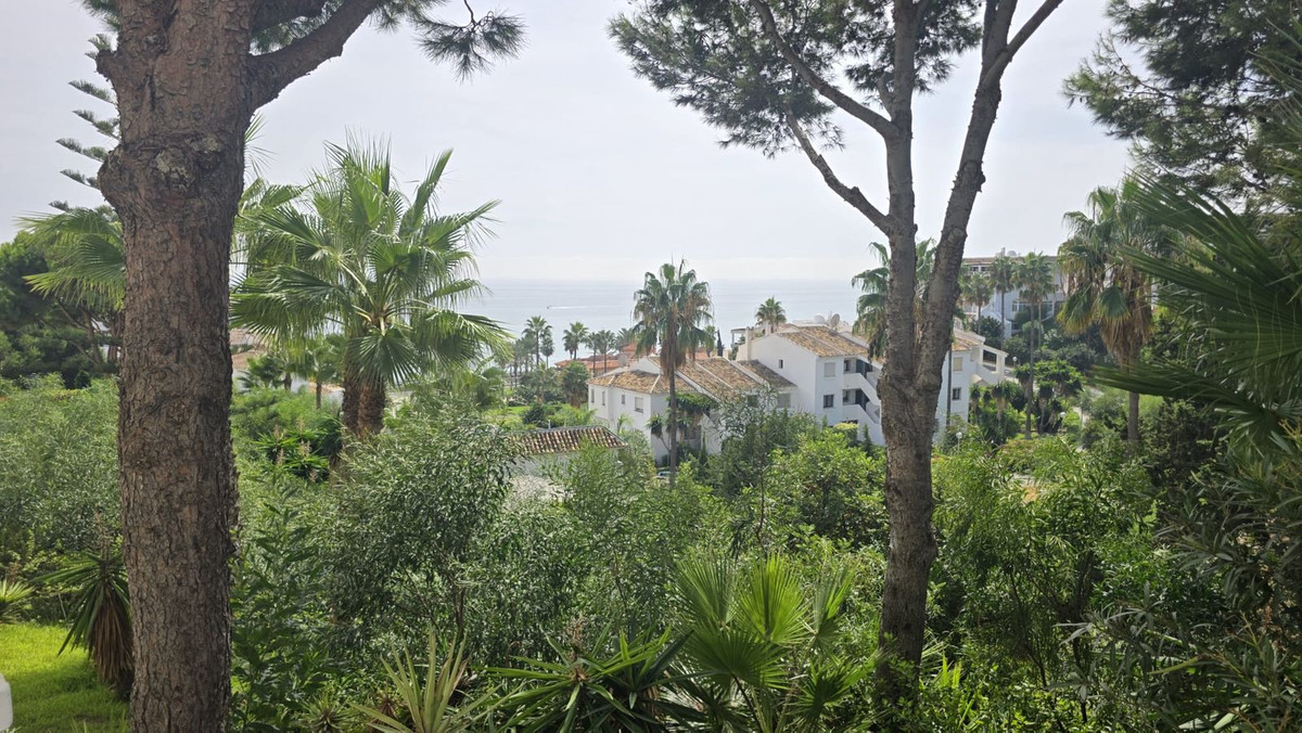 Property main view 31