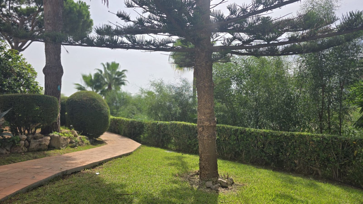 Property main view 32