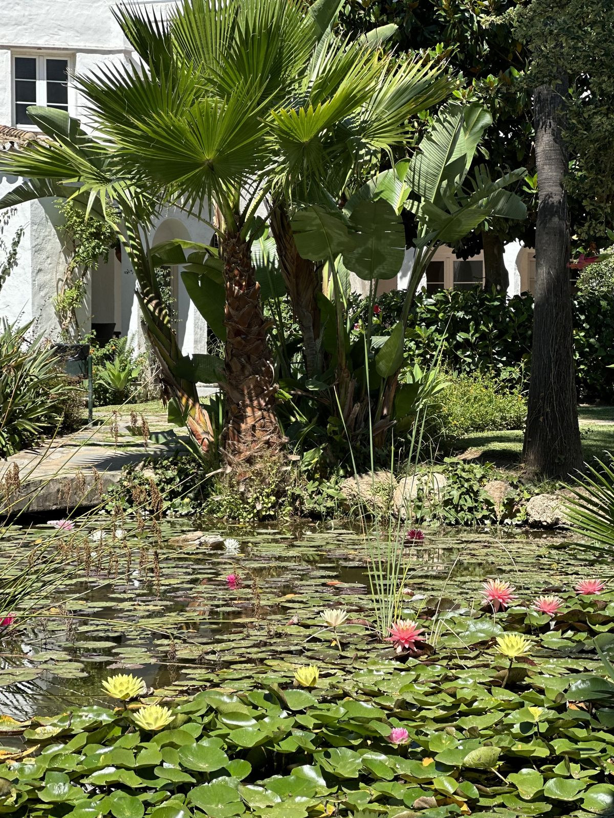 Property main view 24