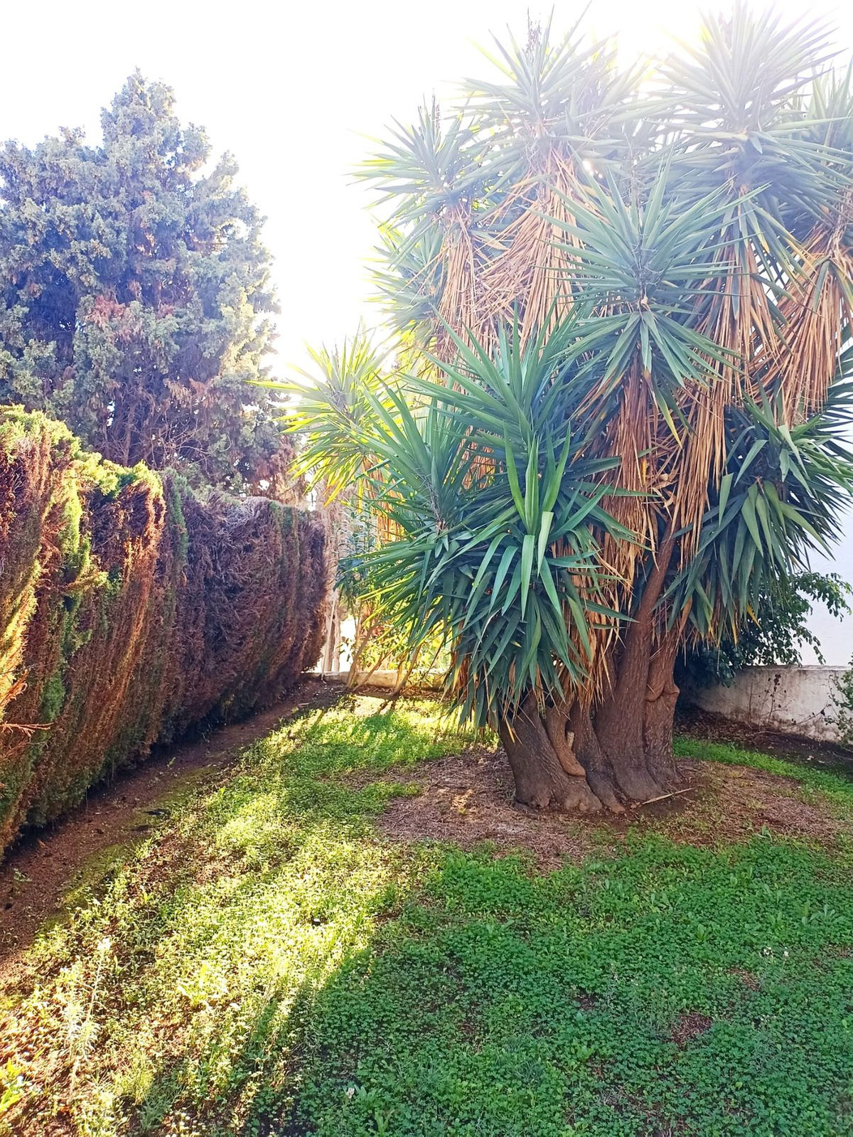 Appartement te koop in Mijas Golf | 1 slaapkamers H5227576