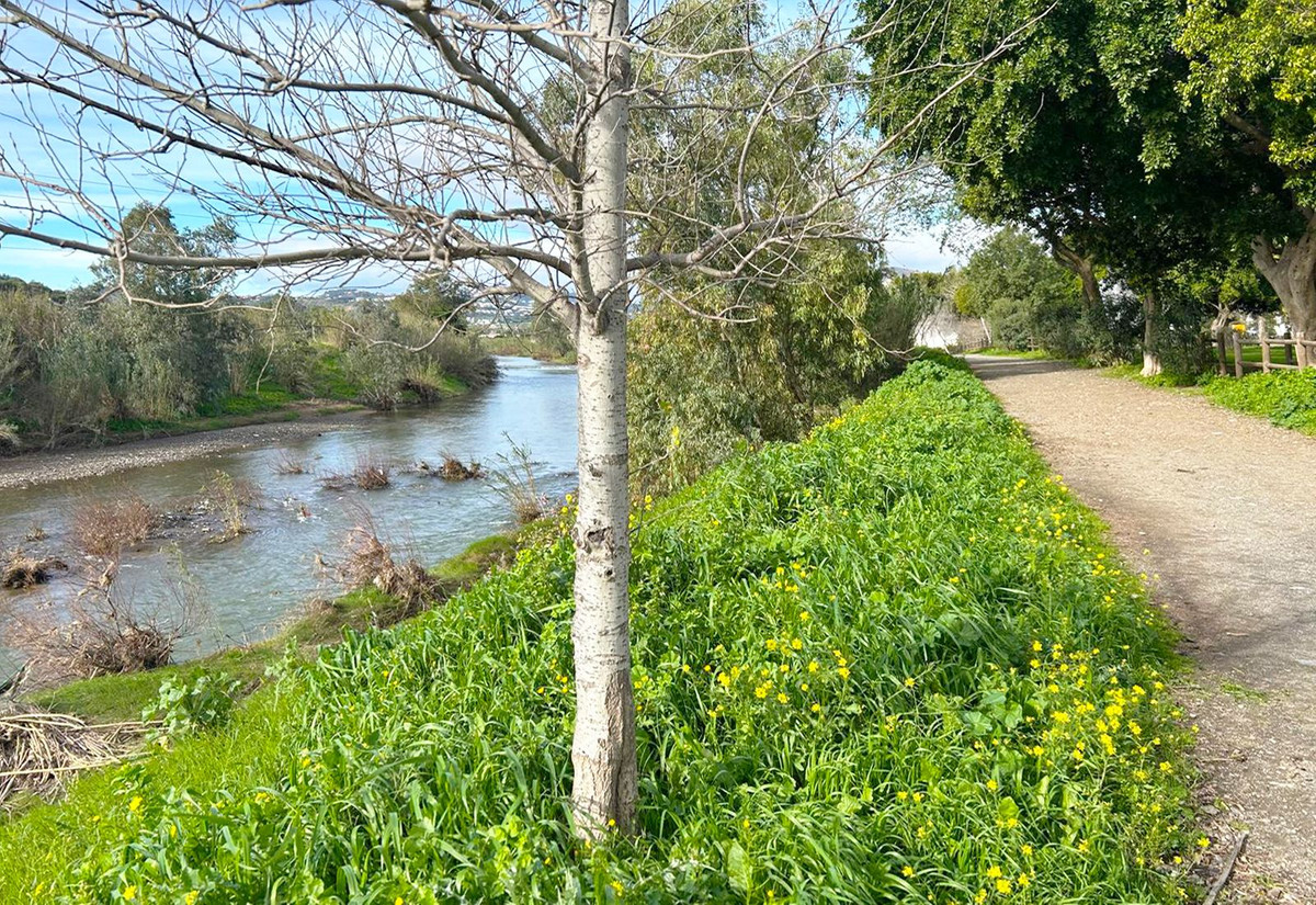 Property main view 28