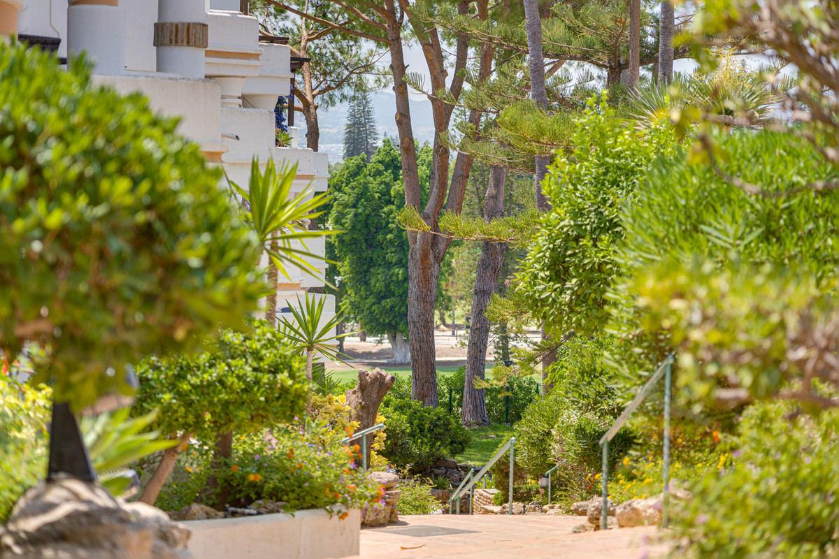 Property main view 25