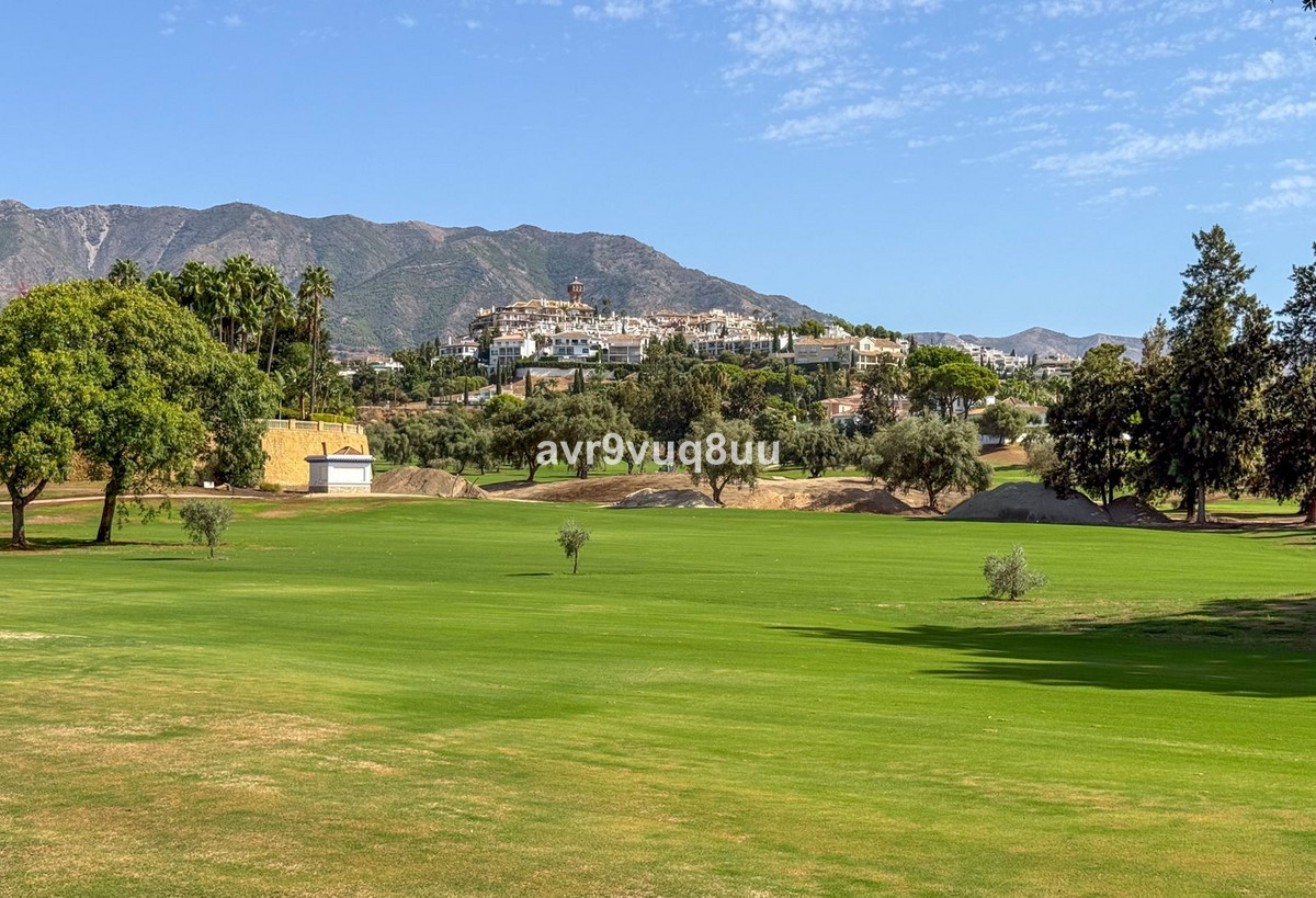 Property main view 19