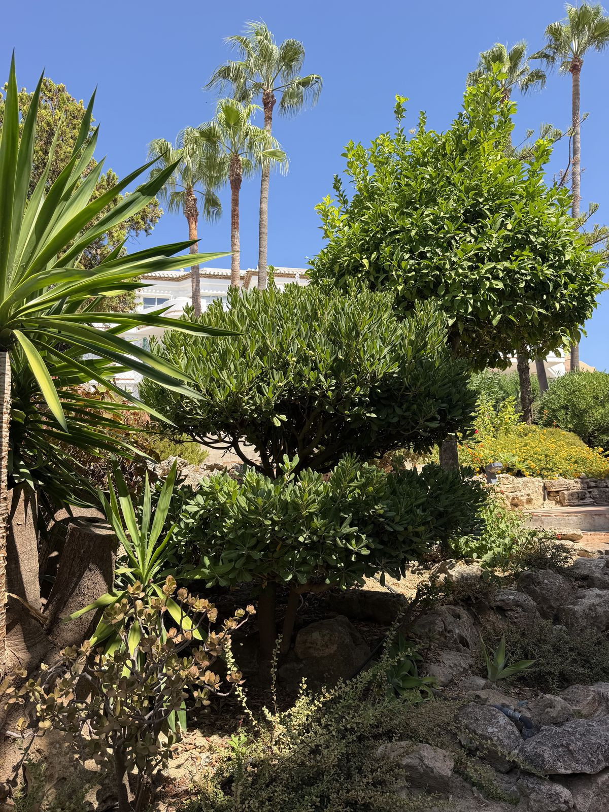Appartement te koop in Mijas Golf | 3 slaapkamers H5483527