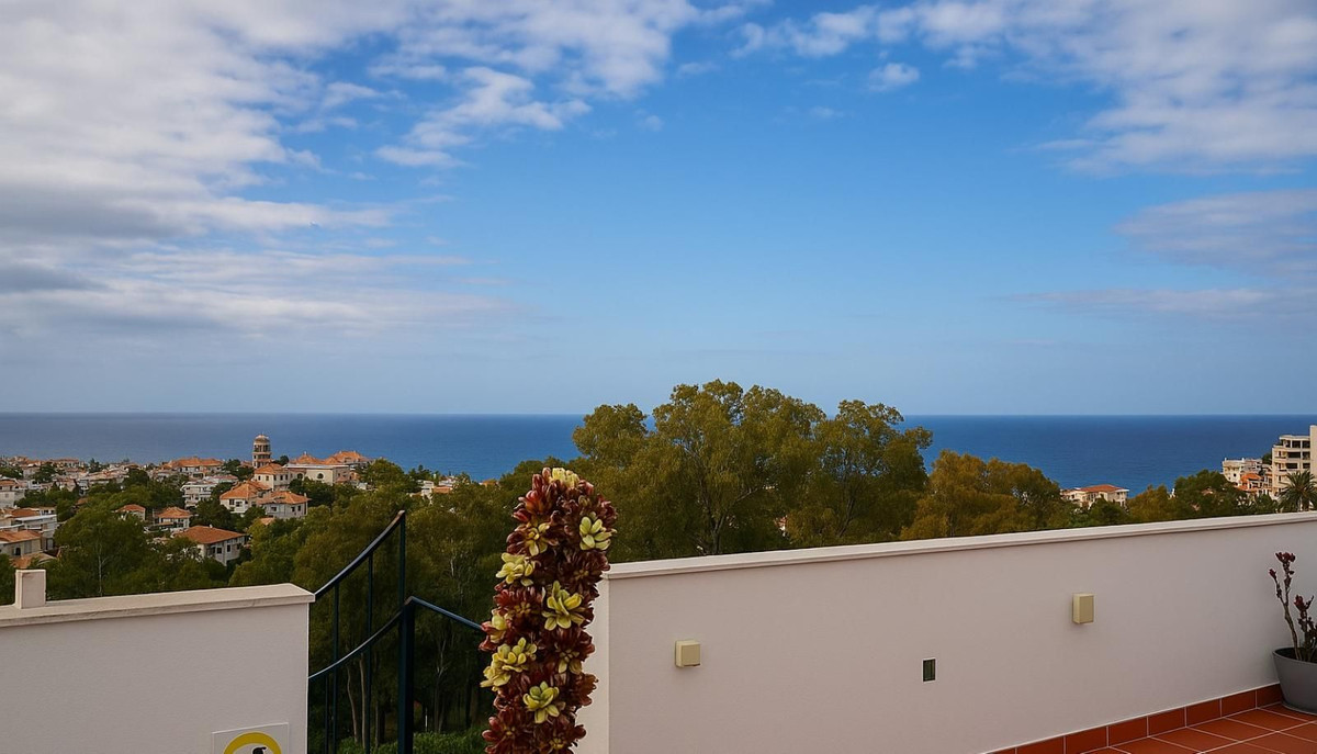 Penthouse te koop in Miraflores | 2 slaapkamers H5056306