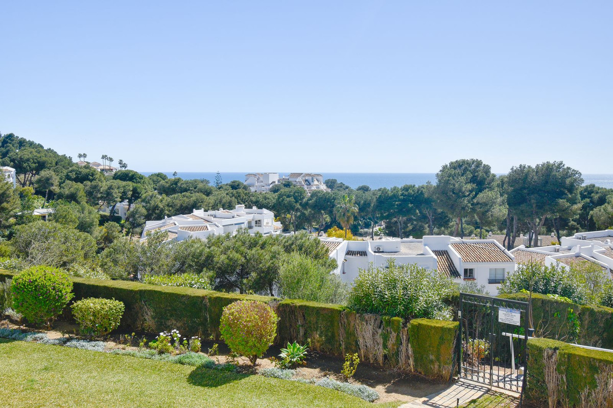 Property main view 2