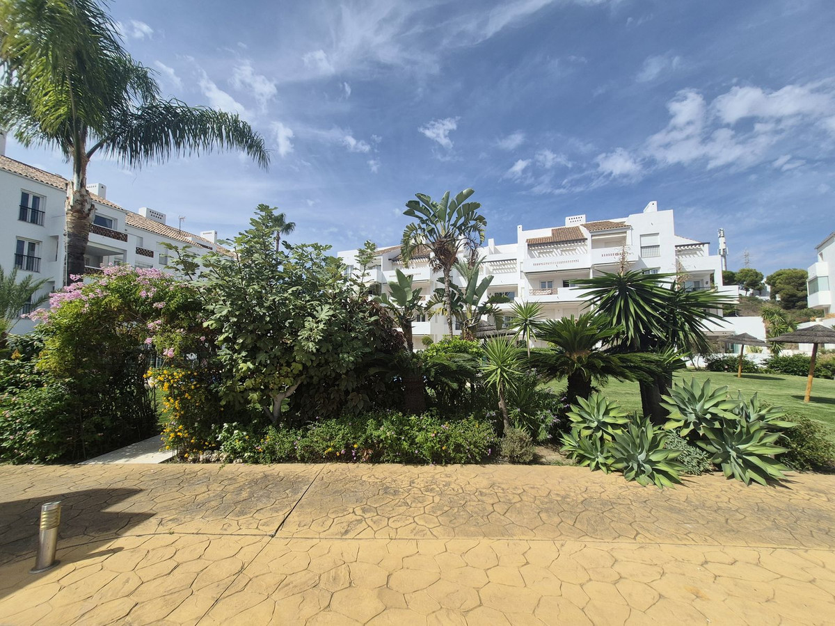 Property main view 22