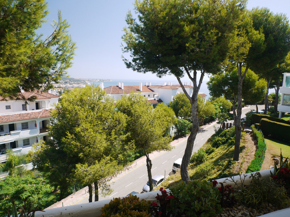 Property main view 15