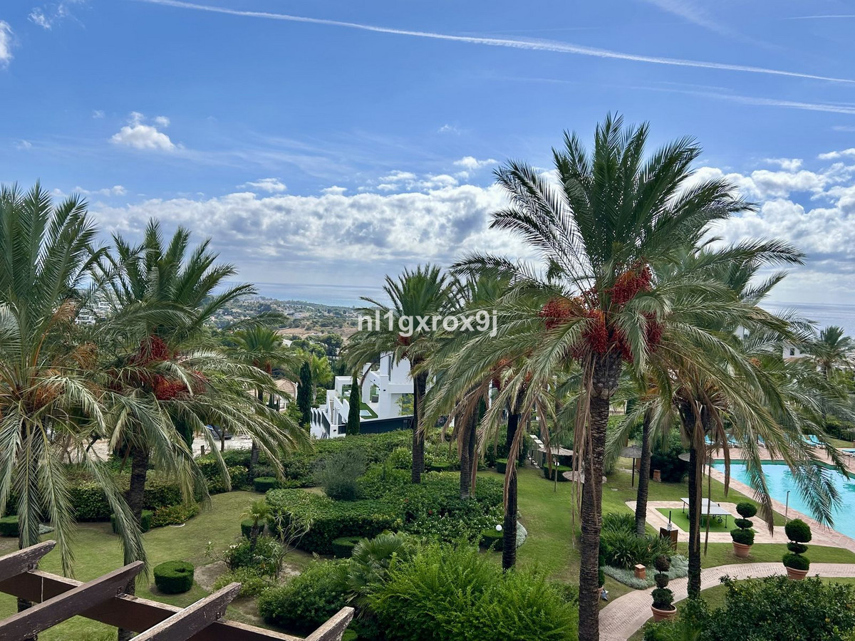 Property main view 58