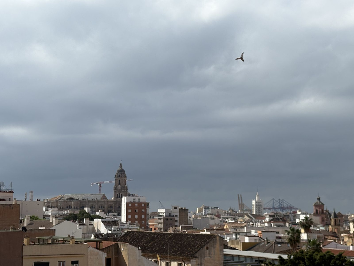 Appartement te koop in Málaga Centro | 4 slaapkamers H5364949