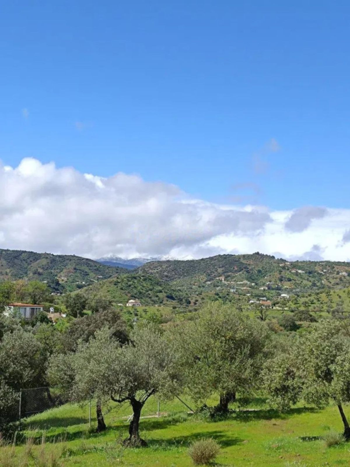 Property main view 6