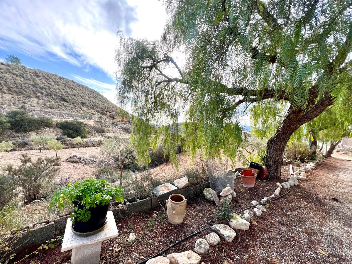 Finca - Cortijo te koop in Monóvar | 3 slaapkamers H5289067