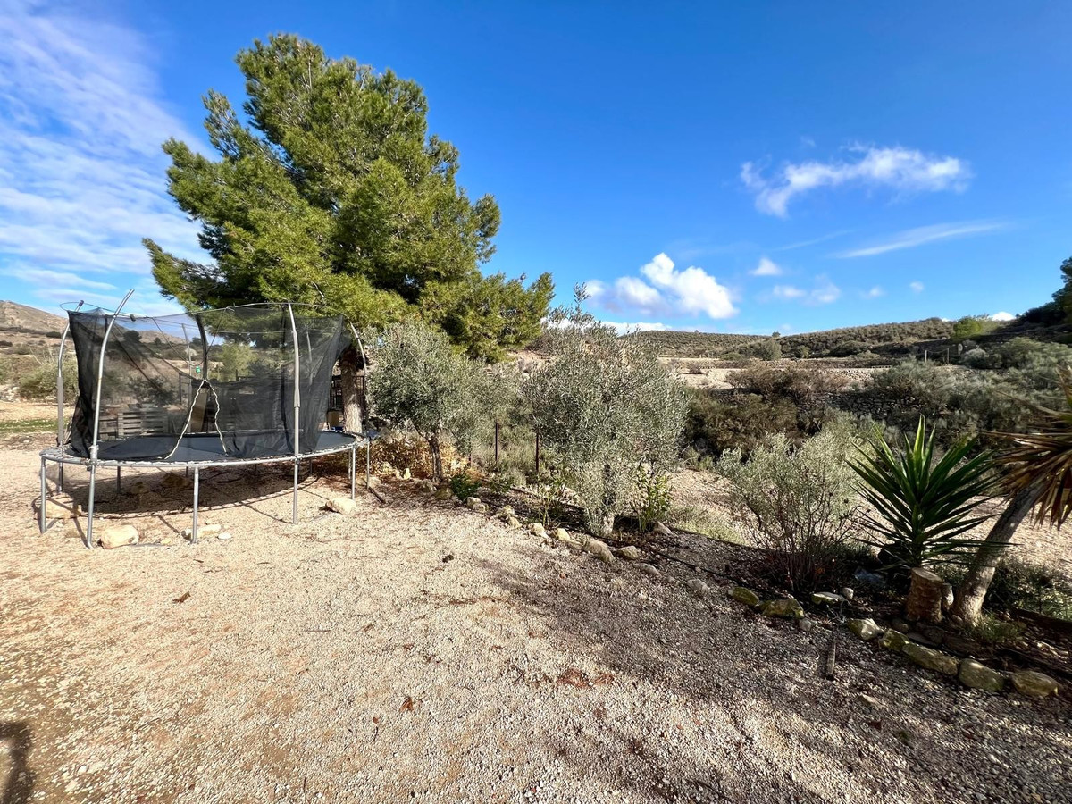 Finca - Cortijo te koop in Monóvar | 3 slaapkamers H5289067