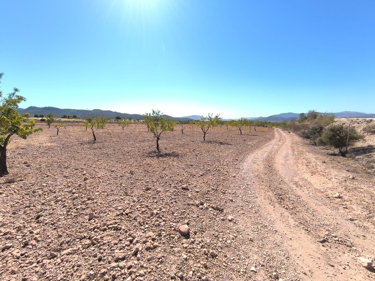 Grond te koop in Monóvar | 0 slaapkamers H5296270