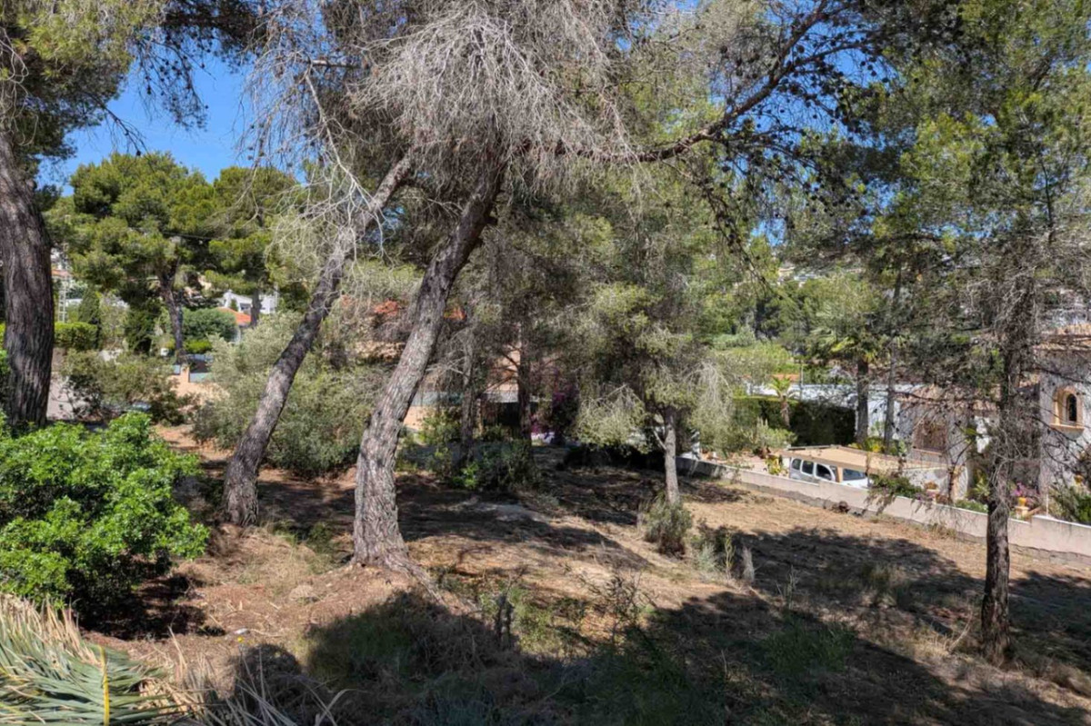 Appartement te koop in Moraira | 0 slaapkamers H5468770