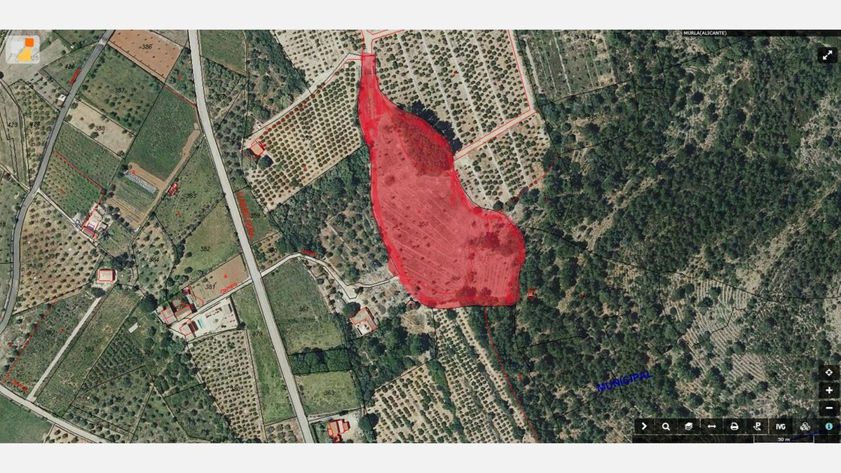 Percelen te koop in Murla | 0 slaapkamers H5259346