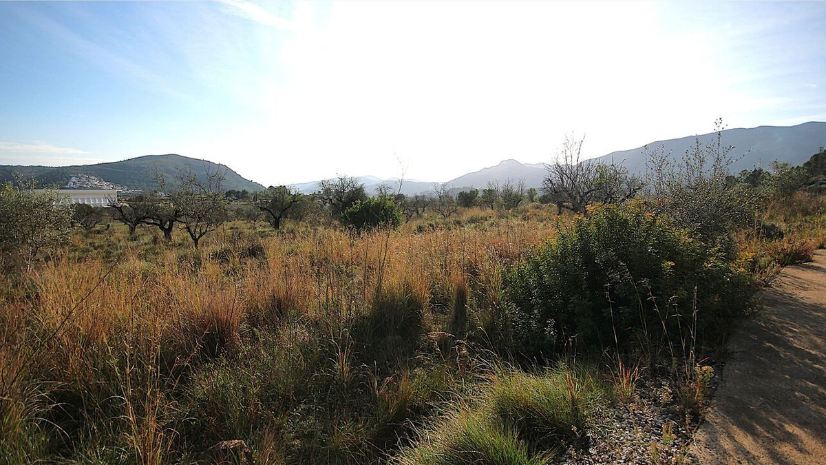 Percelen te koop in Murla | 0 slaapkamers H5259349