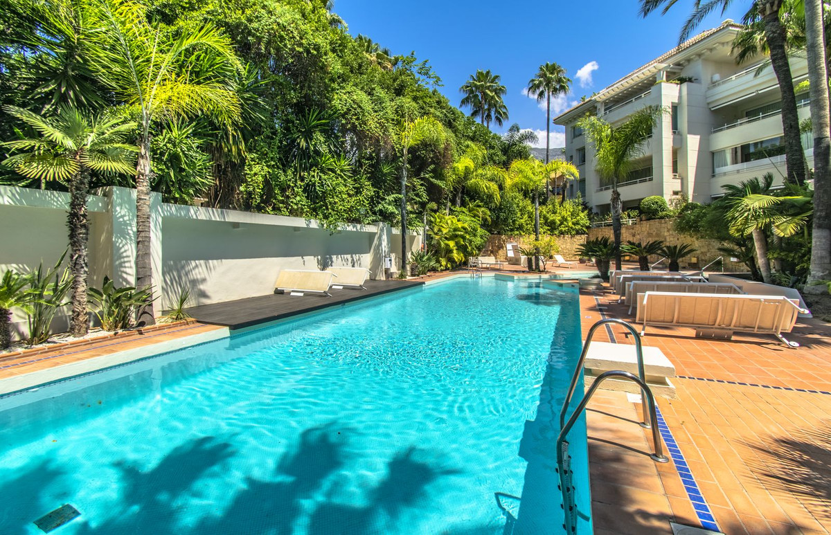 Property main view 15