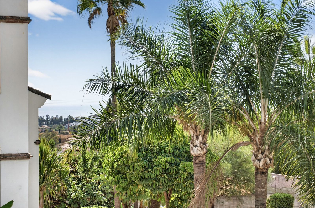 Property main view 6