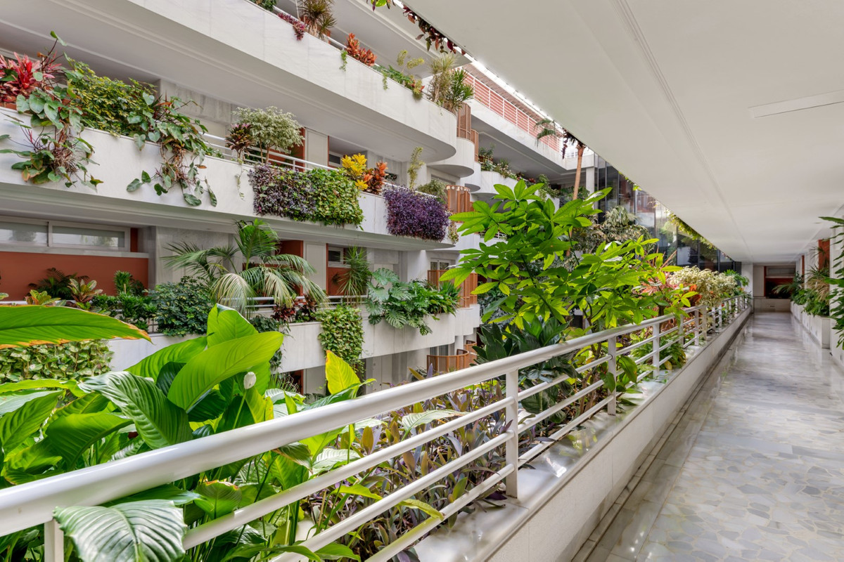 Property main view 7