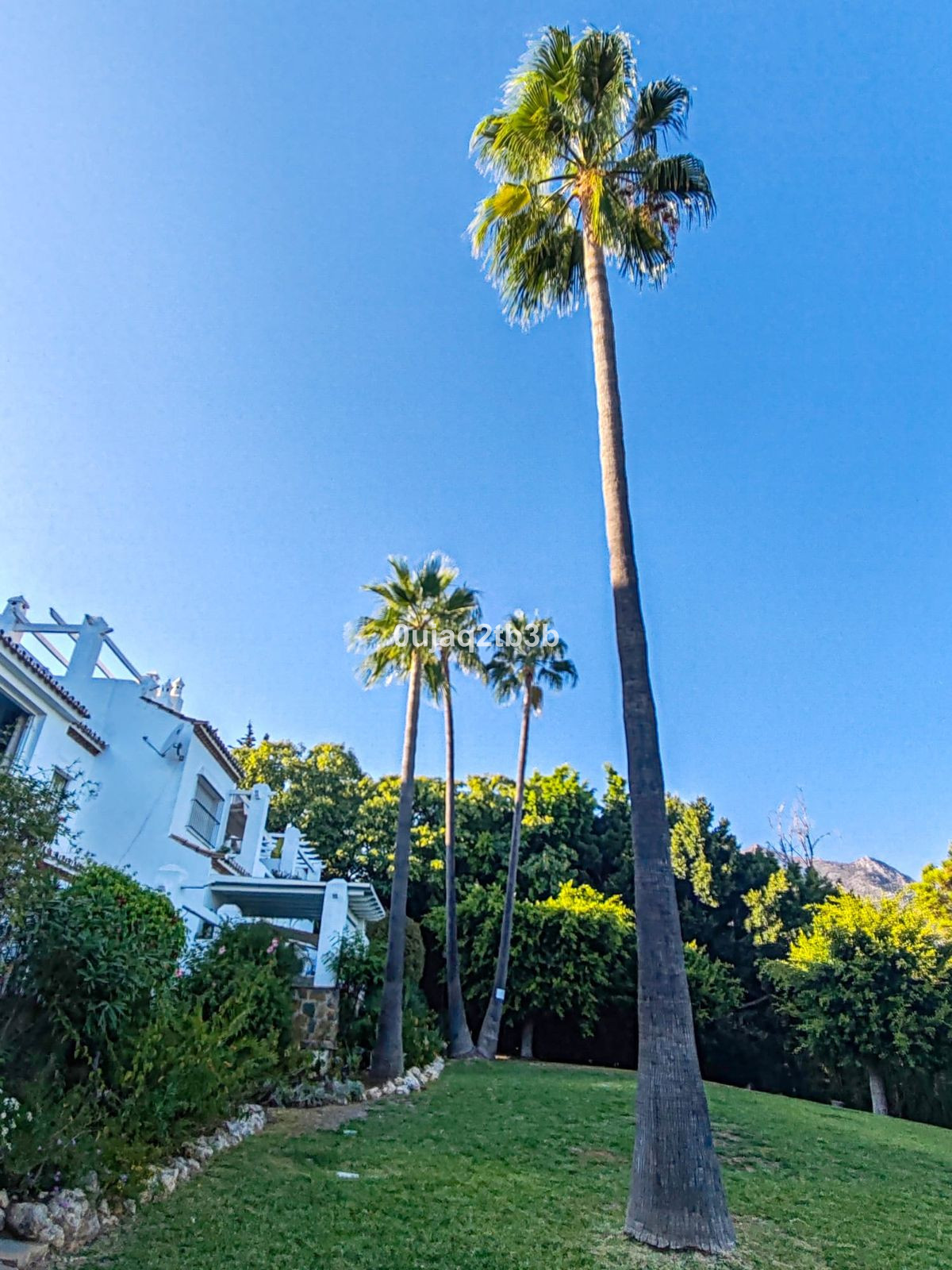 Property main view 32