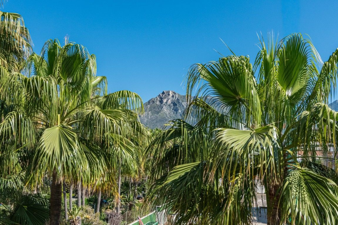 Property main view 10