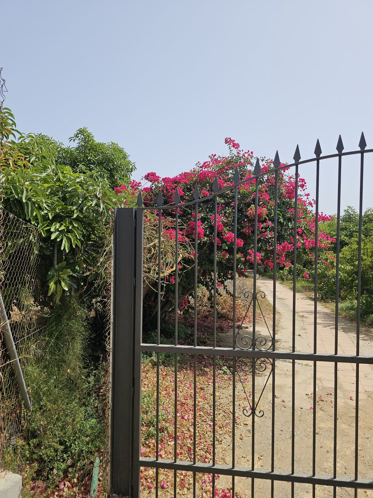 Property main view 1