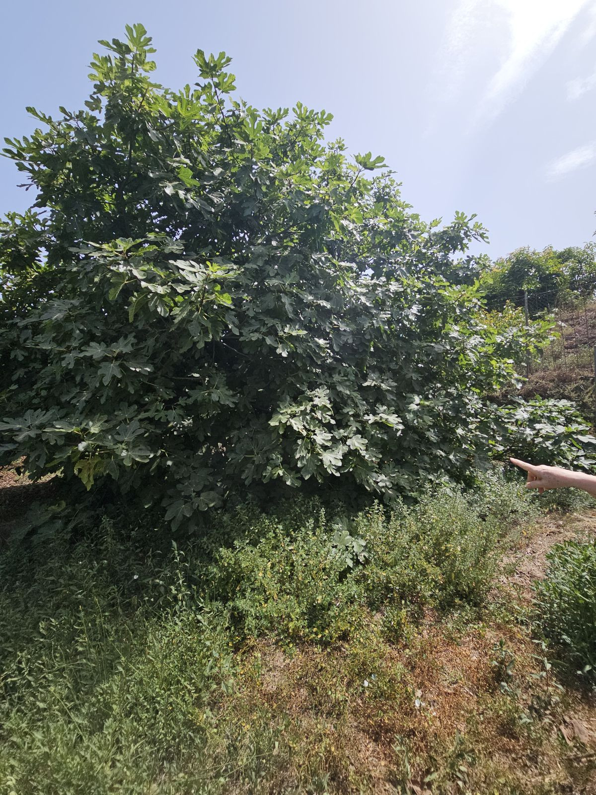 Property main view 15